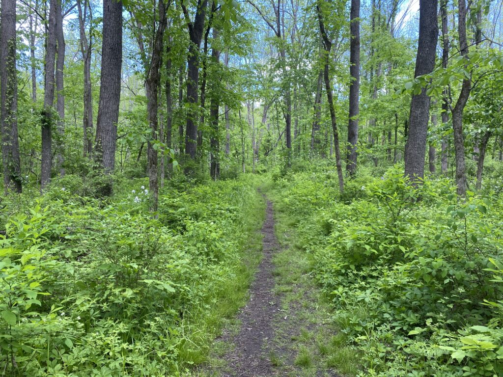 Family-Friendly Hiking Locations in Connecticut